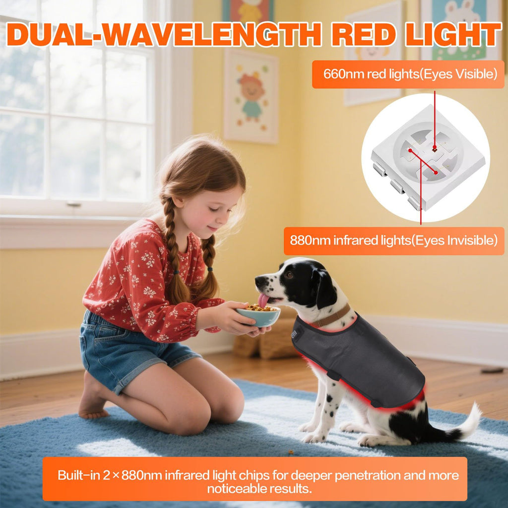 Arnés Térmico para Perros con Terapia de Luz Roja e Infrarrojos